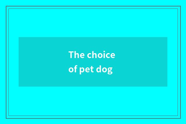 The choice of pet dog