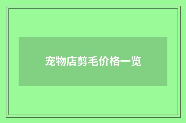 宠物店剪毛价格一览