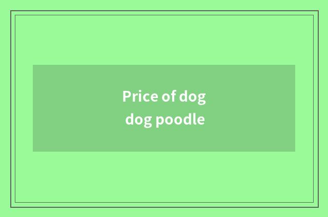 Price of dog dog poodle