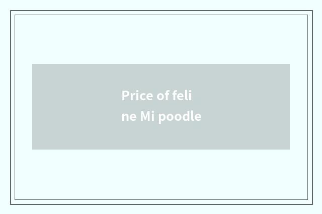 Price of feline Mi poodle