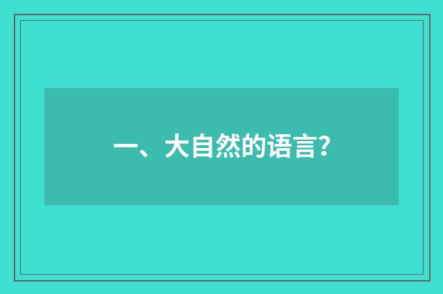 一、大自然的语言?