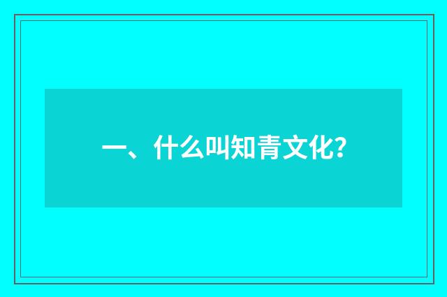 一、什么叫知青文化?