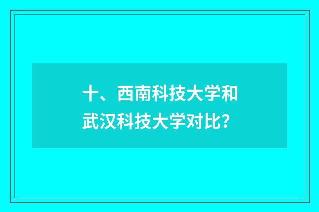 十、西南科技大学和武汉科技大学对比?