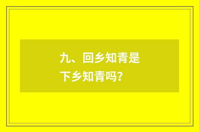 九、回乡知青是下乡知青吗?