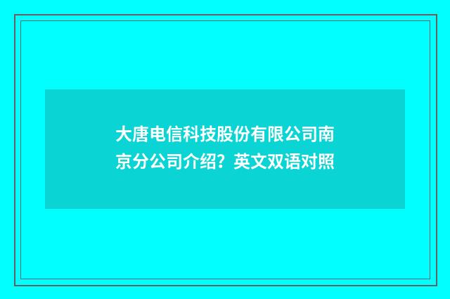 大唐电信科技股份有限公司南京分公司介绍？英文双语对照