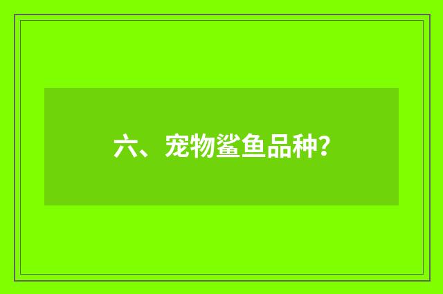 六、宠物鲨鱼品种？