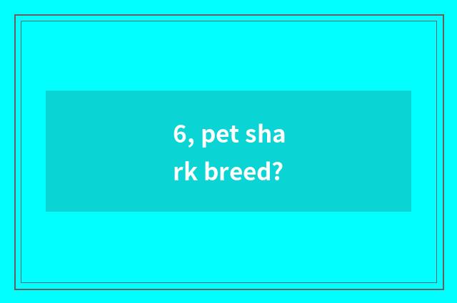 6, pet shark breed?