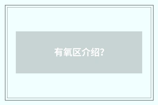 有氧区介绍?