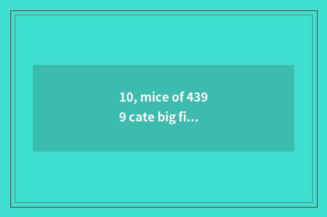 10, mice of 4399 cate big fight sealed 10 years, can you solve seal?