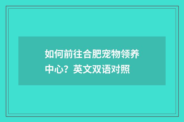 如何前往合肥宠物领养中心?英文双语对照