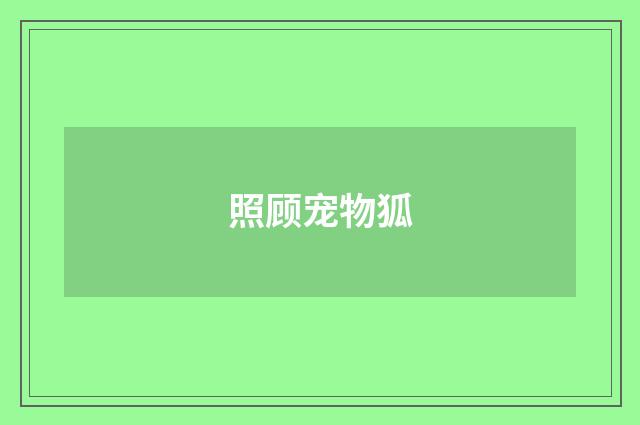 照顾宠物狐