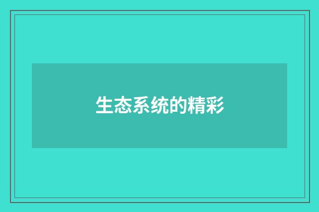 生态系统的精彩