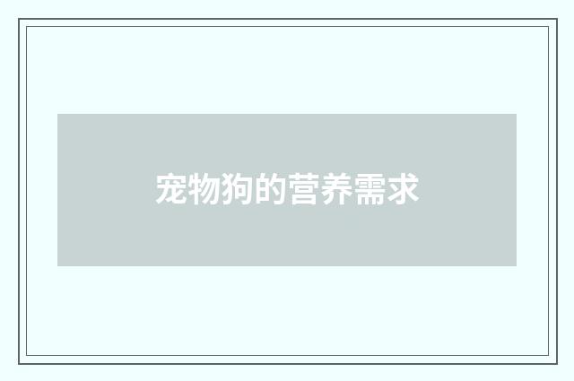 宠物狗的营养需求