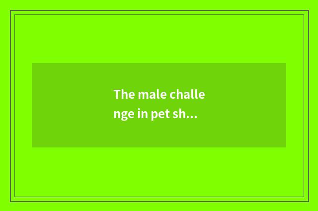 The male challenge in pet shop industry