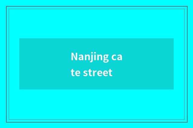 Nanjing cate street