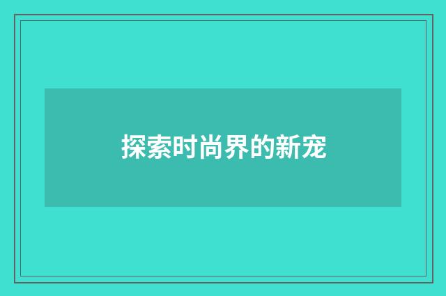 探索时尚界的新宠