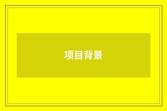 项目背景