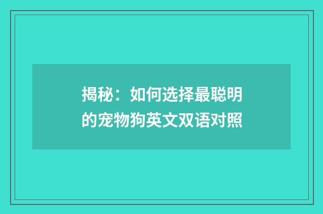 揭秘：如何选择最聪明的宠物狗英文双语对照