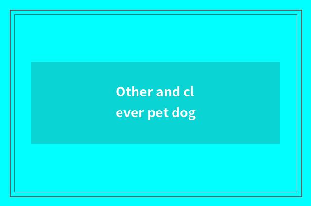 Other and clever pet dog