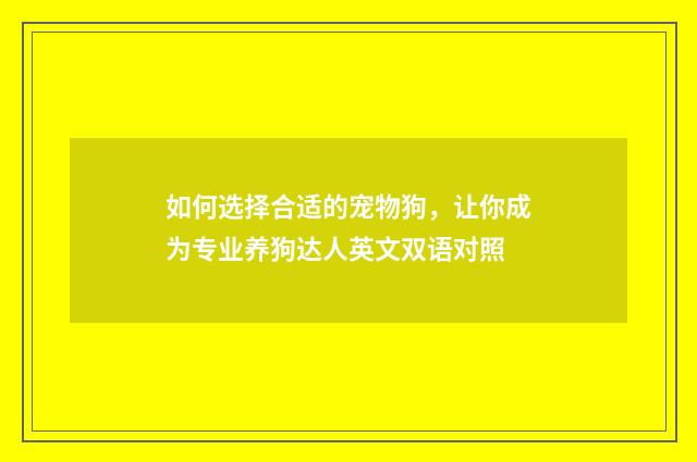 如何选择合适的宠物狗，让你成为专业养狗达人英文双语对照