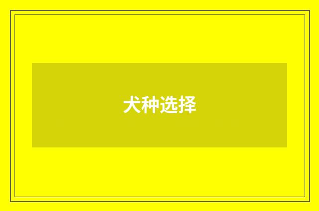 犬种选择