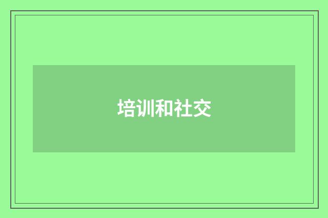 培训和社交