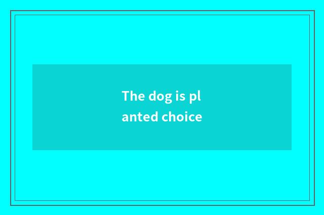 The dog is planted choice