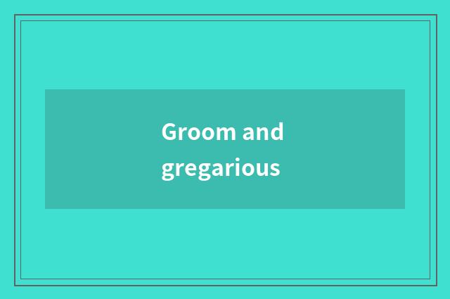 Groom and gregarious