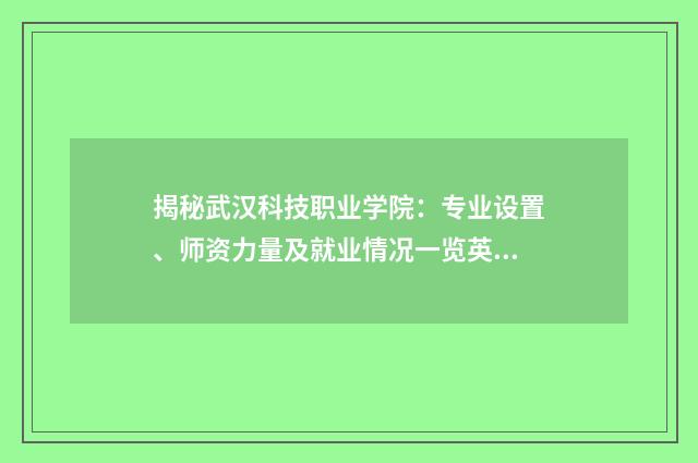 揭秘武汉科技职业学院:专业设置、师资力量及就业情况一览英文双语对照