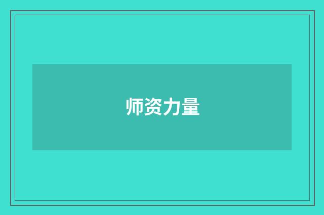 师资力量