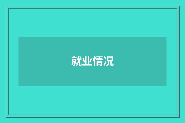 就业情况