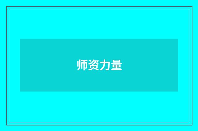 师资力量