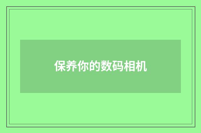保养你的数码相机