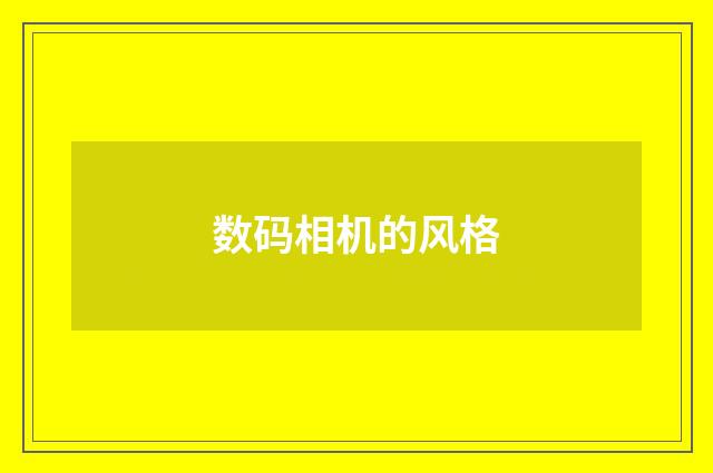 数码相机的风格
