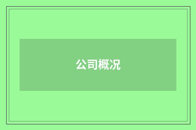公司概况