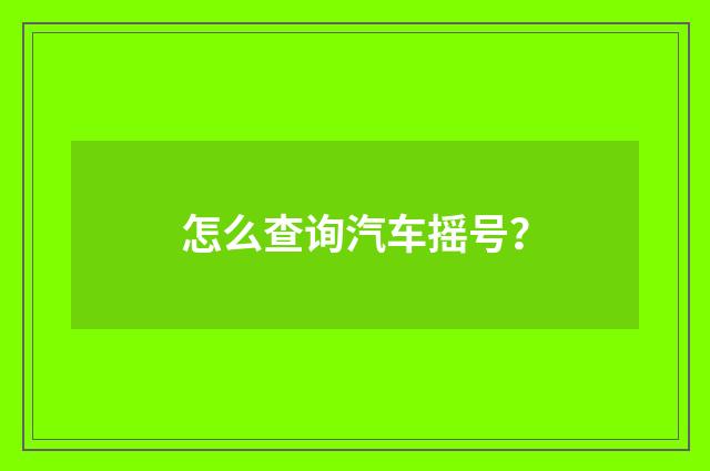 怎么查询汽车摇号?