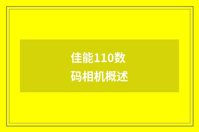 佳能110数码相机概述