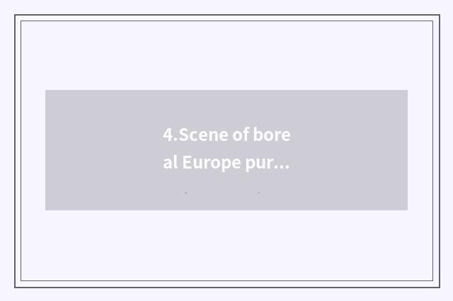 4.Scene of boreal Europe pure and fresh nature