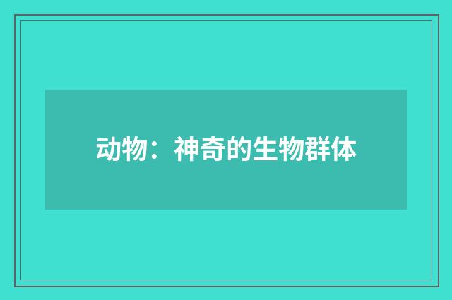动物:神奇的生物群体