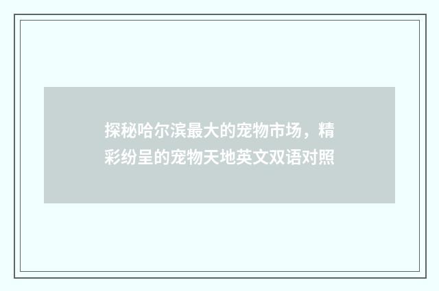 探秘哈尔滨最大的宠物市场,精彩纷呈的宠物天地英文双语对照
