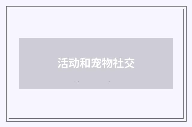 活动和宠物社交