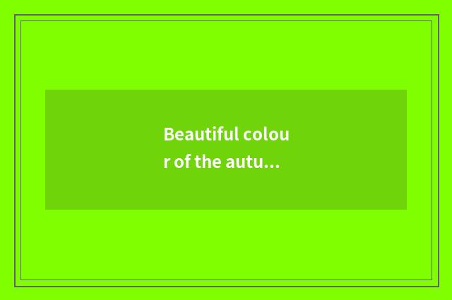 Beautiful colour of the autumn