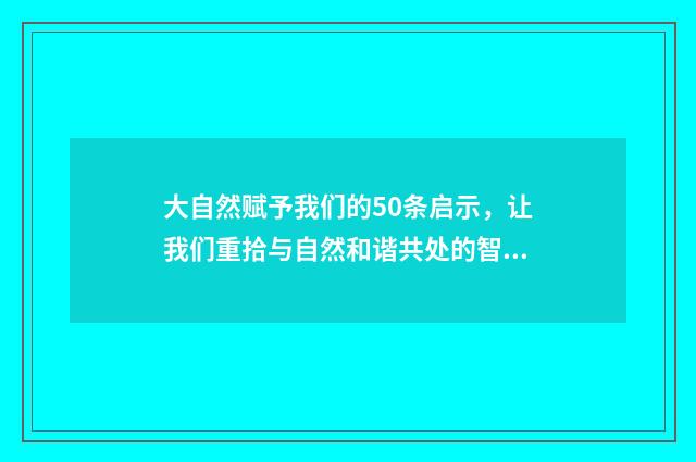 大自然赋予我们的50条启示，让我们重拾与自然和谐共处的智慧英文双语对照