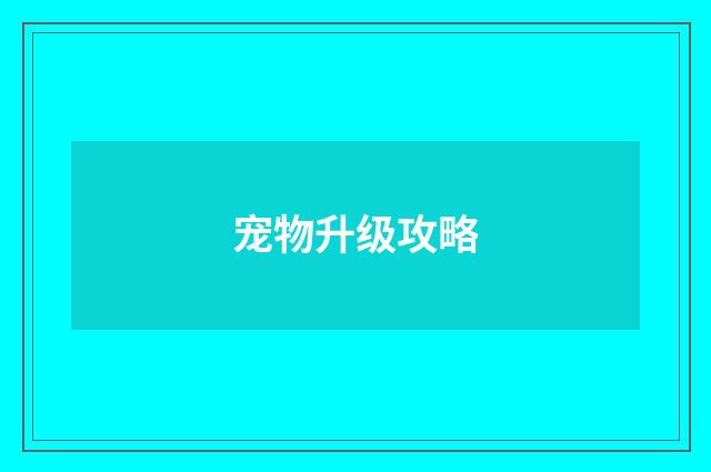 宠物升级攻略