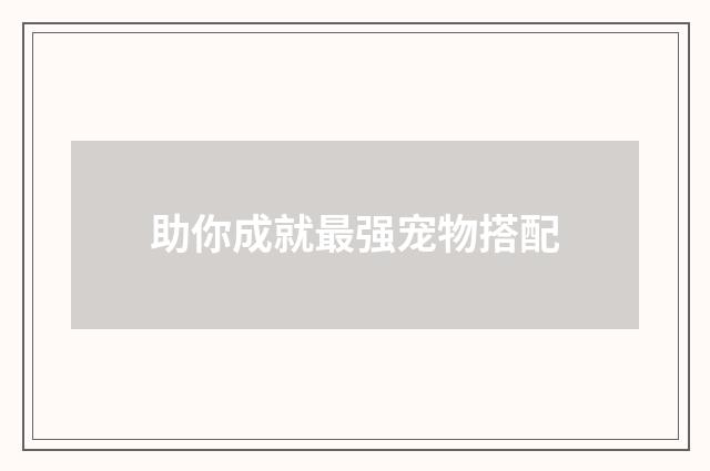 助你成就最强宠物搭配