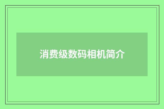 消费级数码相机简介