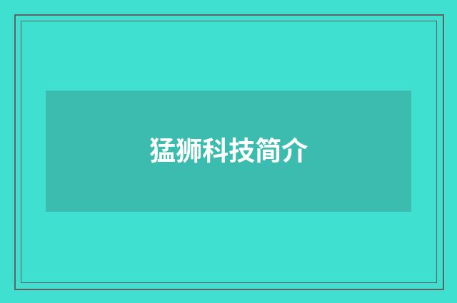 猛狮科技简介