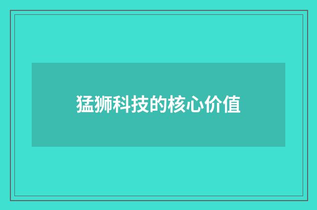 猛狮科技的核心价值