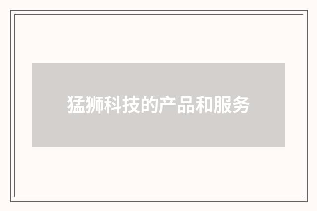 猛狮科技的产品和服务
