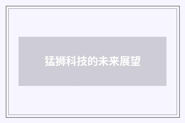 猛狮科技的未来展望